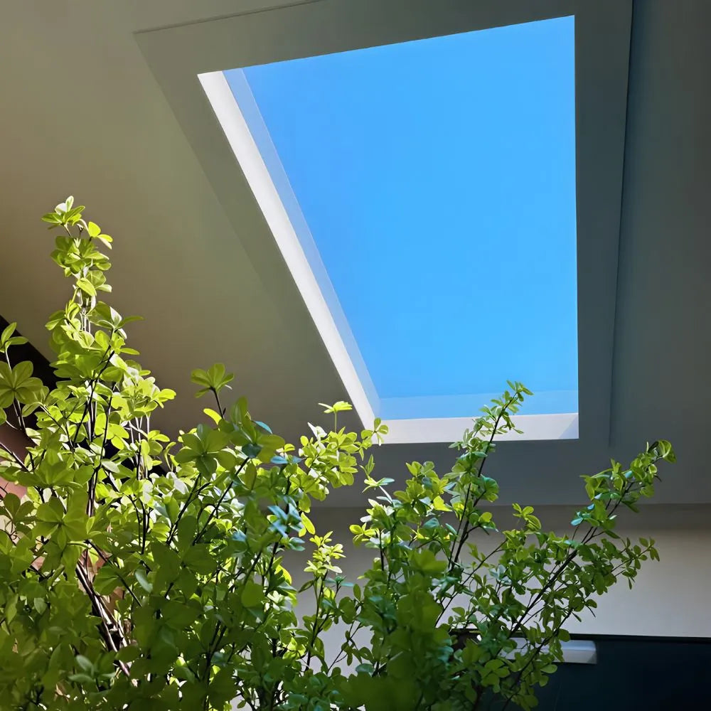 Aureline™ Skylight